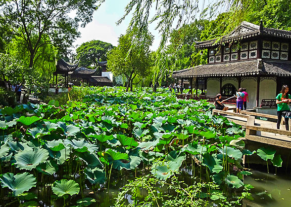 Humble Administrator's Garden, Suzhou