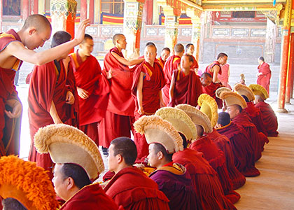Tibetan Lamas
