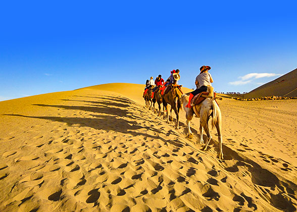 Camel Riding in Sahara Desert