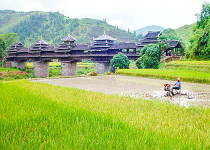 Chengyang Wind and Rain Bridge, Sanjiang