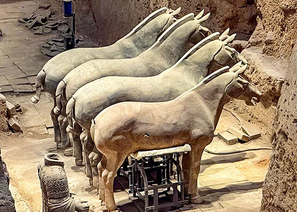 Terracotta Horses in Pit 3