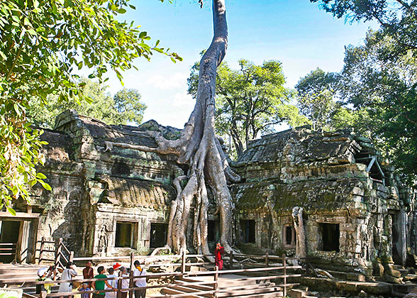 Ta Prohm, Tomb Raider Temple